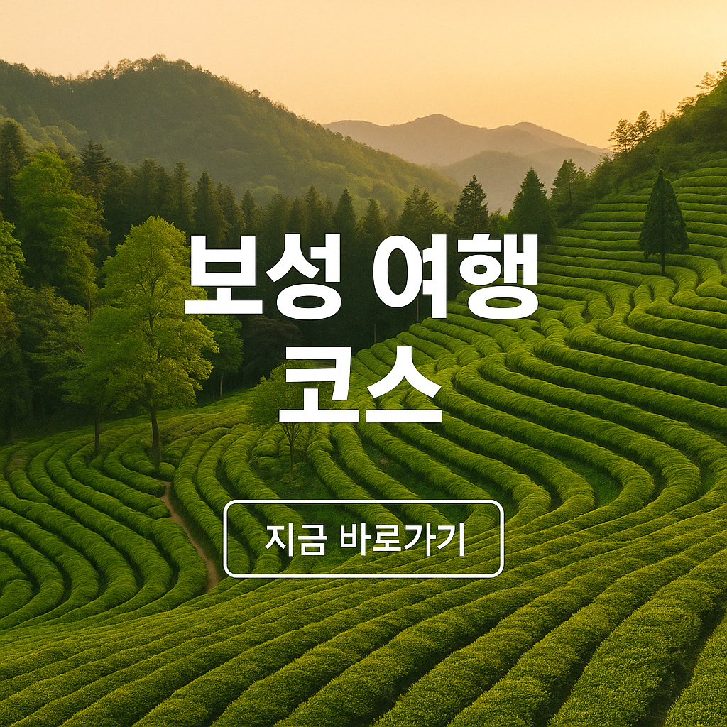 보성 녹차 향이 가득한 힐링 여행 – 감성 여행 코스 총정리