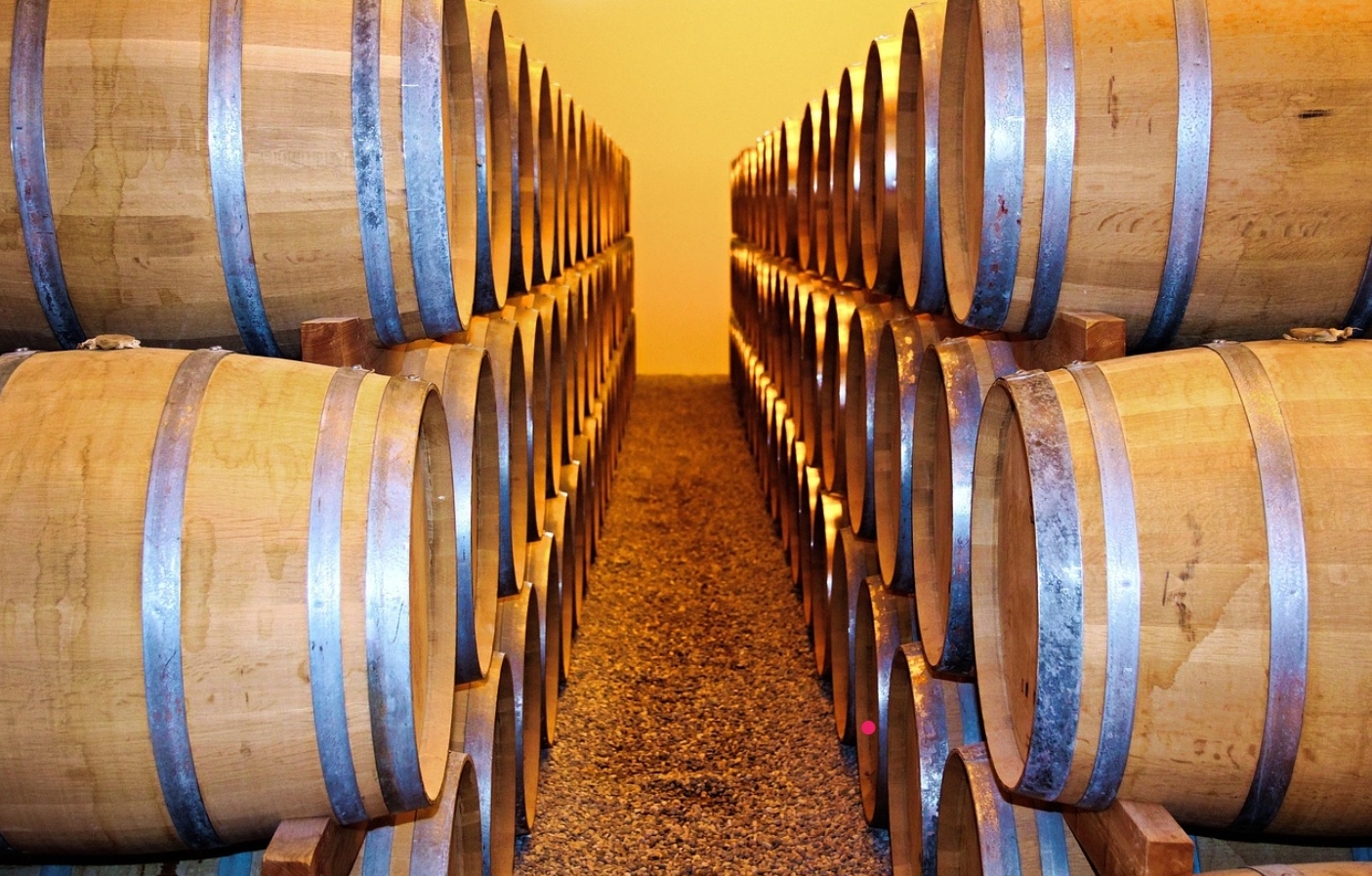 동네 맥주 양조장의 도전