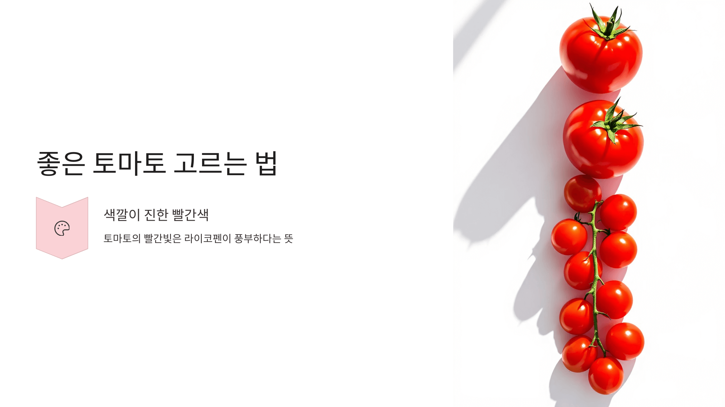 토마토 사진입니다.