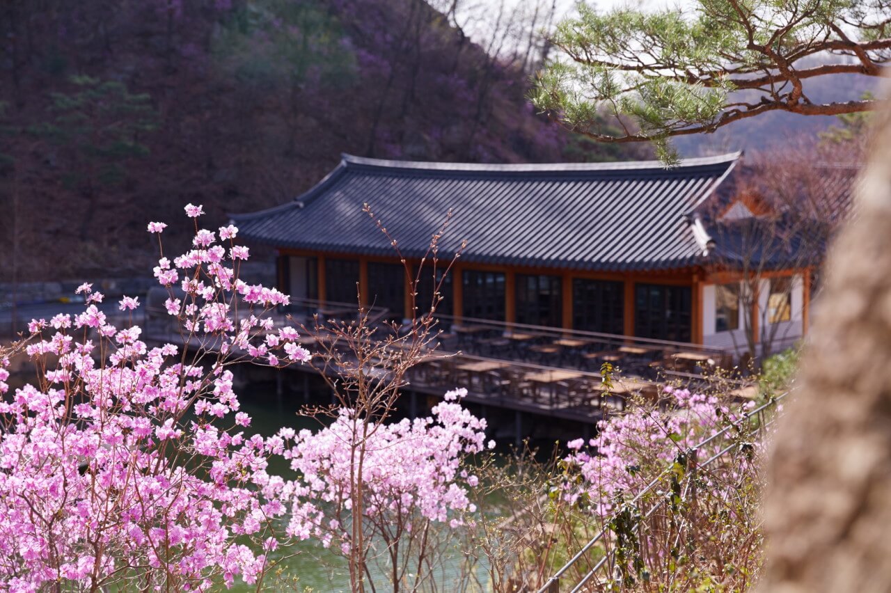 화담숲 예약