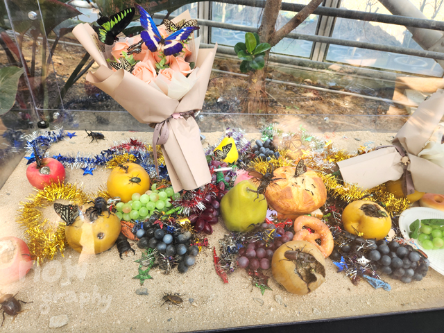 아산시-생태곤충원