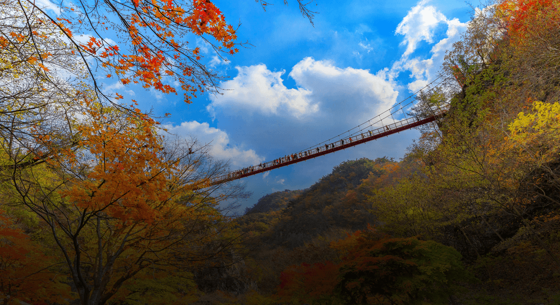 전북 순창 강천산 군립공원 단풍
