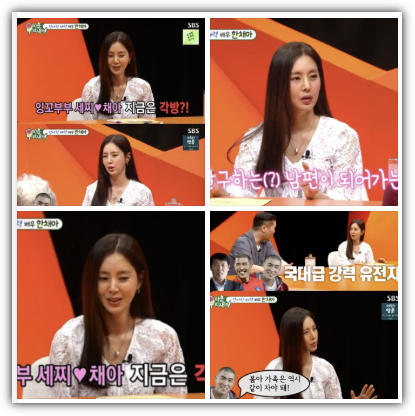 한채아 나이, 키, 학력, 프로필, 재산, 수입, 미우새, 차세찌 각방 고백, 이유, 반응, 향후 전망
