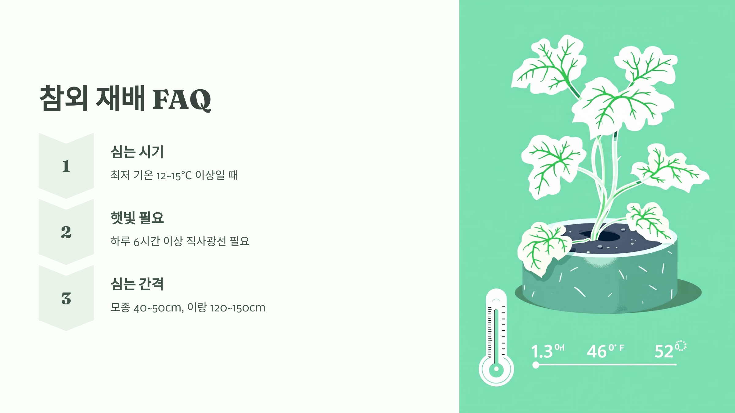 참외 사진입니다.