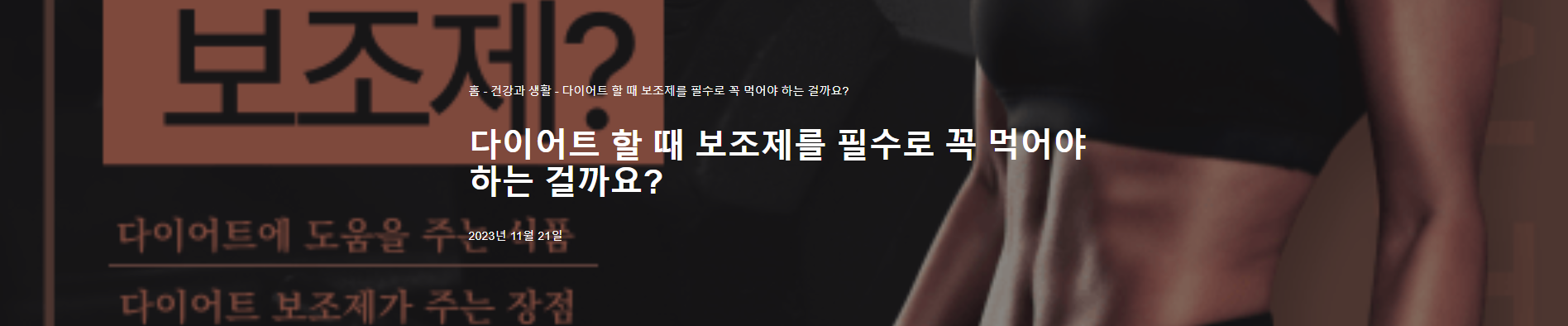 다이어트 보조제 필수 인가요?