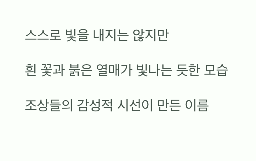 이제 궁금증이 풀리셨나요?