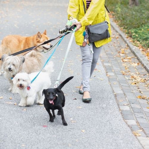 소자본 창업 아이템 추천 10가지