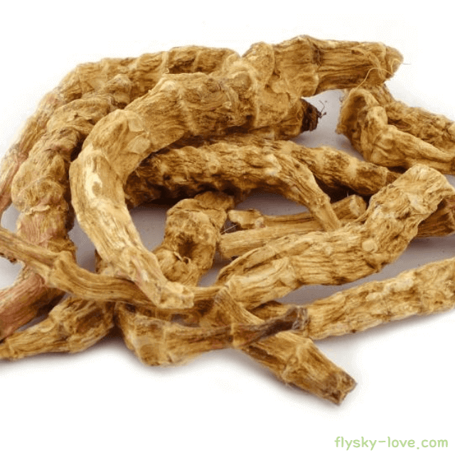 천마 고르는 법