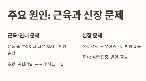 여자 왼쪽 옆구리 통증 주요 원인