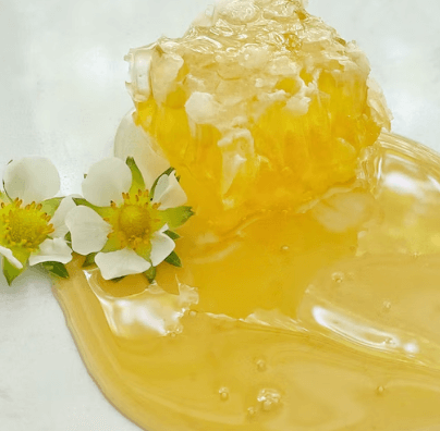 그린 프로폴리스 추천 - 벌집