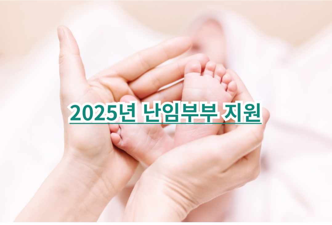 2025년 난임부부 지원 관련 사진