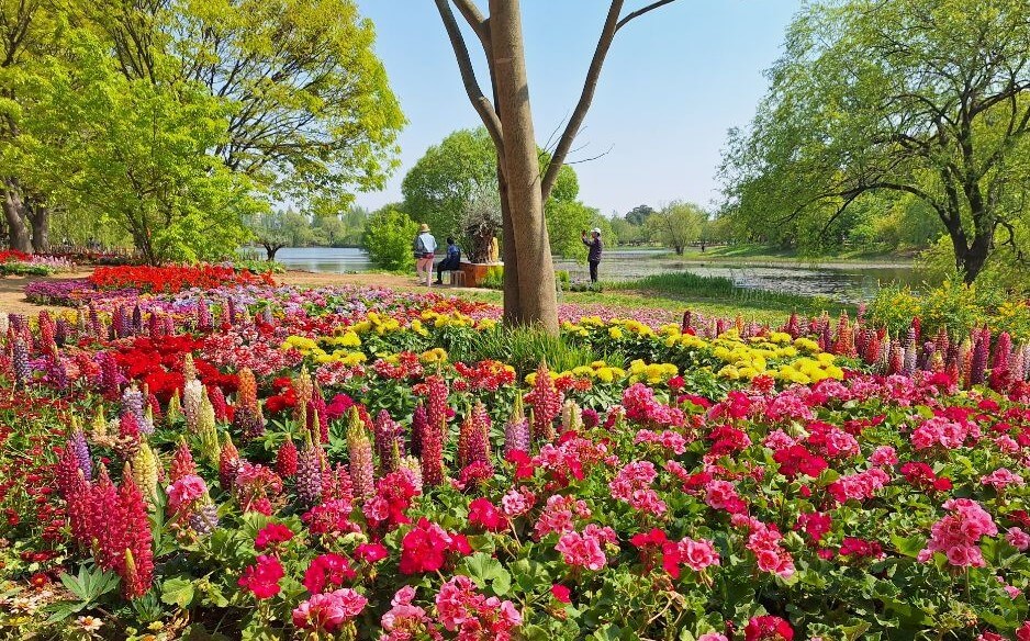 2025 고양국제꽃박람회&amp;#44; &amp;#39;꽃&amp;#44; 상상 그리고 향기&amp;#39; &amp;#44;고양국제꽃박람회 일정 및 예약 바로가기!! 