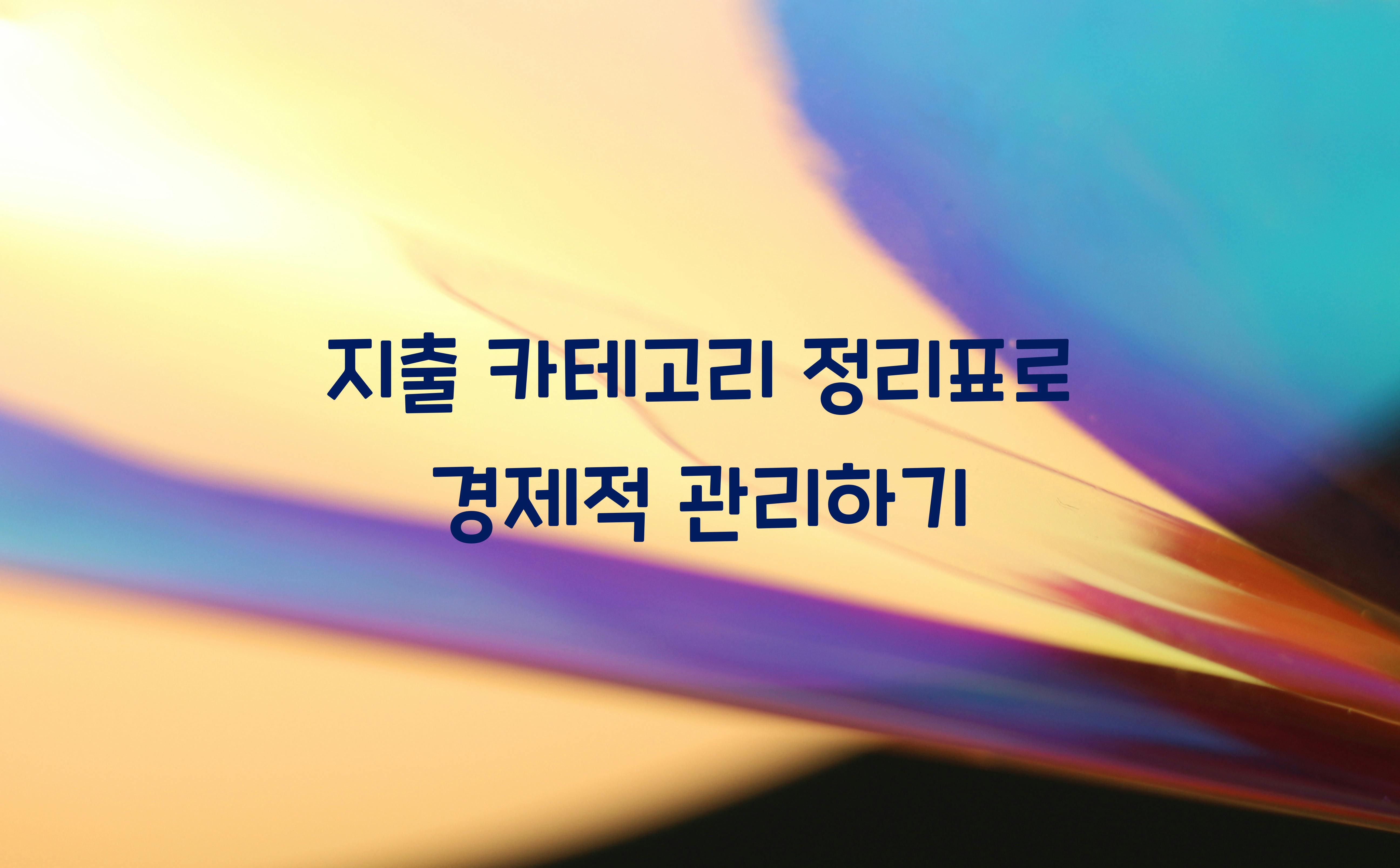 지출 카테고리 정리표