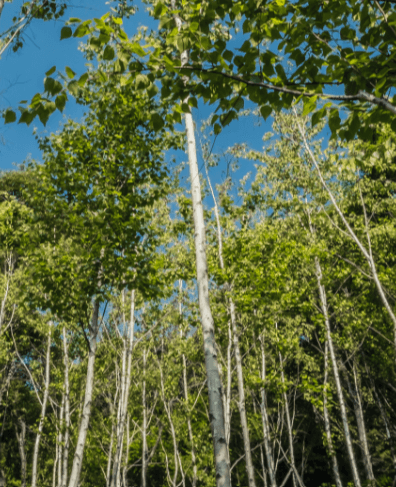 화담숲 취소표 예매