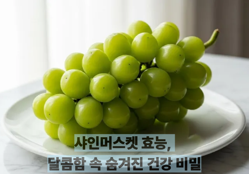 샤인머스켓 효능, 달콤함 속 숨겨진 건강 비밀