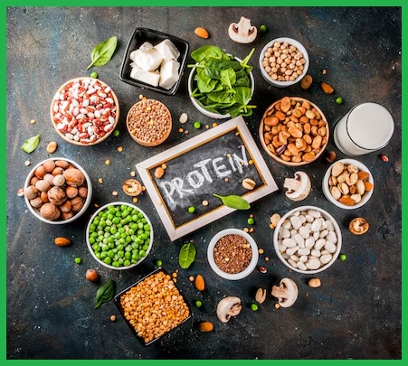 채식 단백질 섭취를 위한 식단