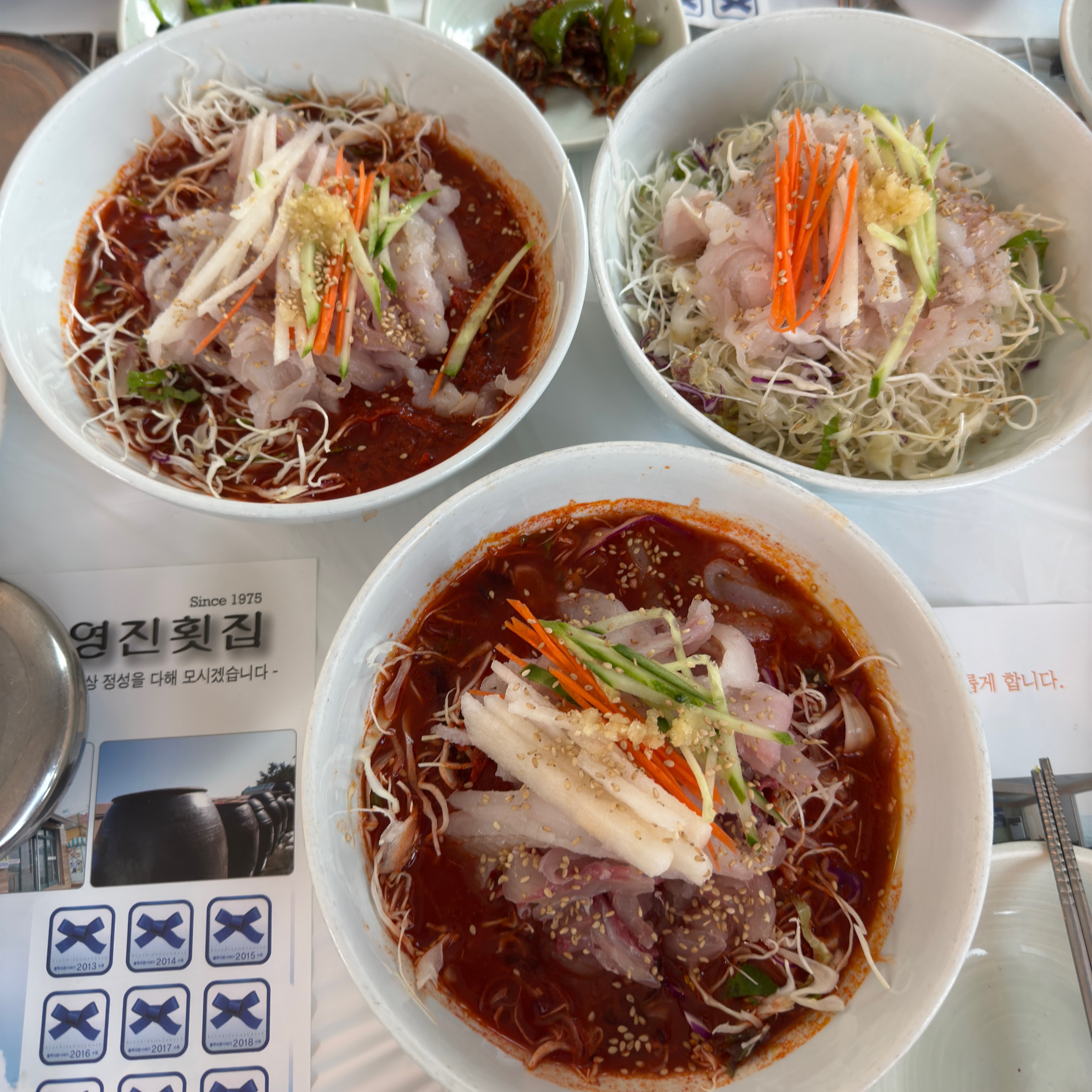 강릉 물회 맛집 영진물회