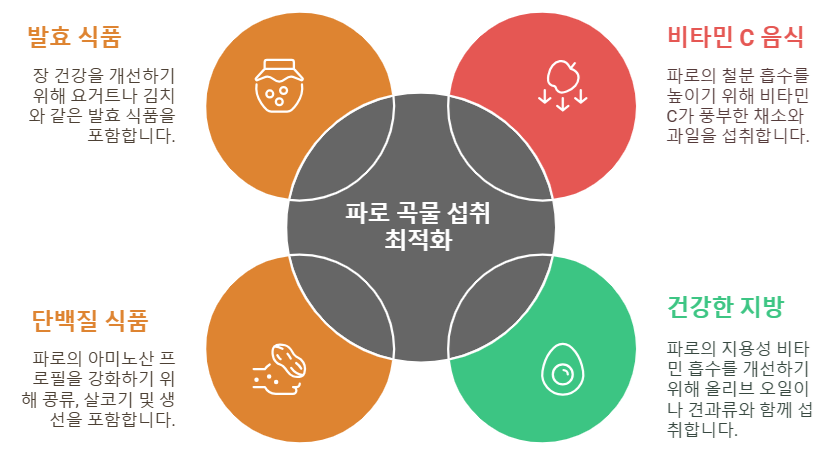 파로와 함께 섭취하면 시너지 효과를 내는 영양소