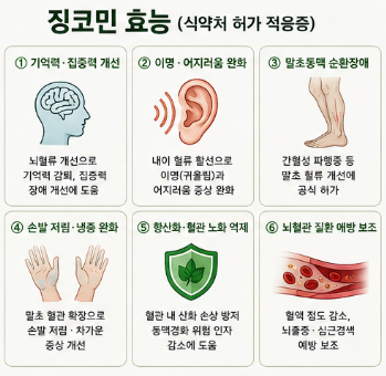 징코민-효능-추천-복용법-성분-부작용-가격