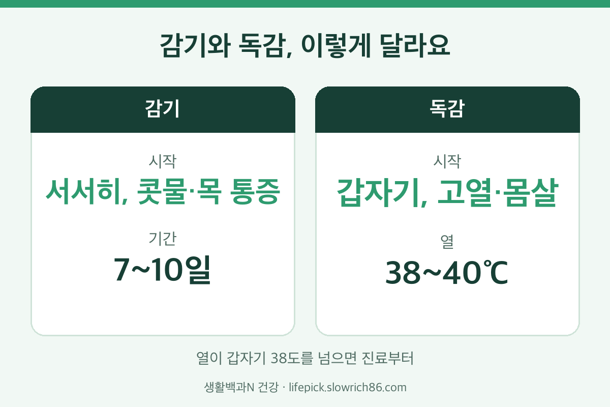 감기와 독감 차이 콧물 목 통증 고열 38~40도 근육통 항바이러스제