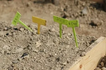 봄 텃밭 준비 토양 갈기 석회 퇴비 잡초 씨 제거_18