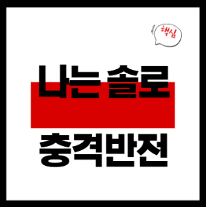 나는솔로