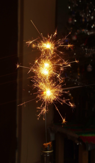 뷸꽃쇼 장면 사진