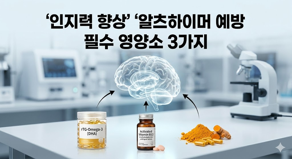 인지력 향상 알츠하이머 예방 영양소 정보 이미지