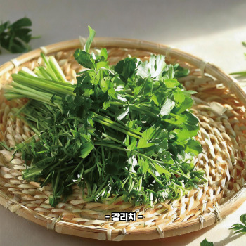 미나리 보관법