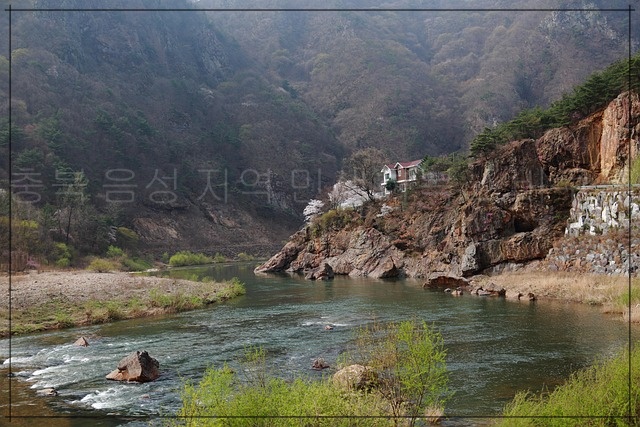 충북 음성군 민생회복 소비쿠폰 신청방법과 사용 꿀팁
