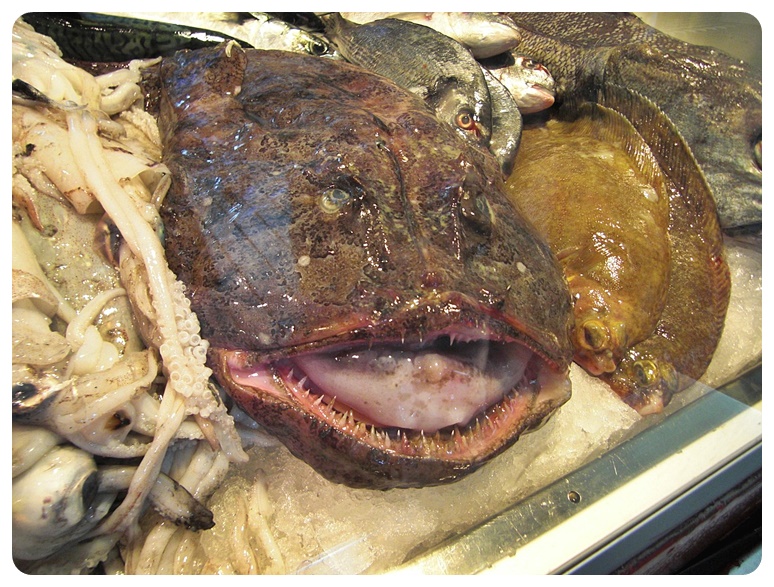 아귀 주요 효능