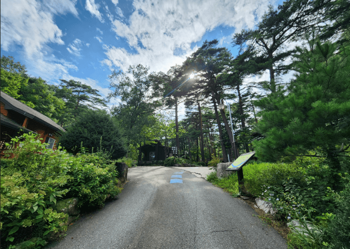  대관령-자연휴양림