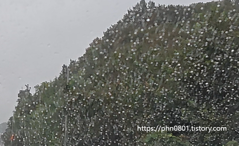 Alt 속성 문제 해결 설명 이미지