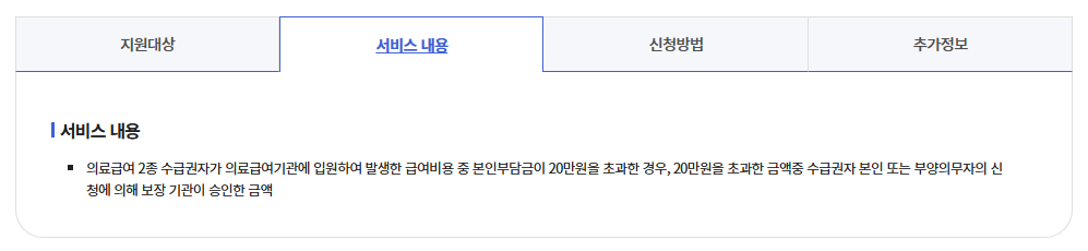 의료급여대지급금지원방법