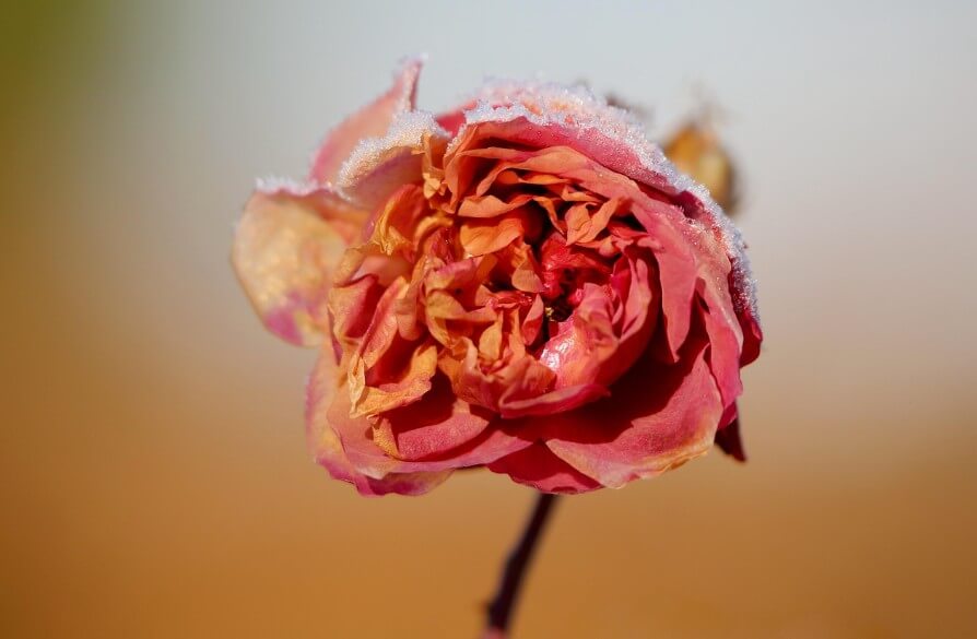 스노우플레이크에서 SQL은 어떻게 다를까