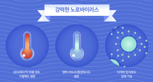 노로바이러스 4