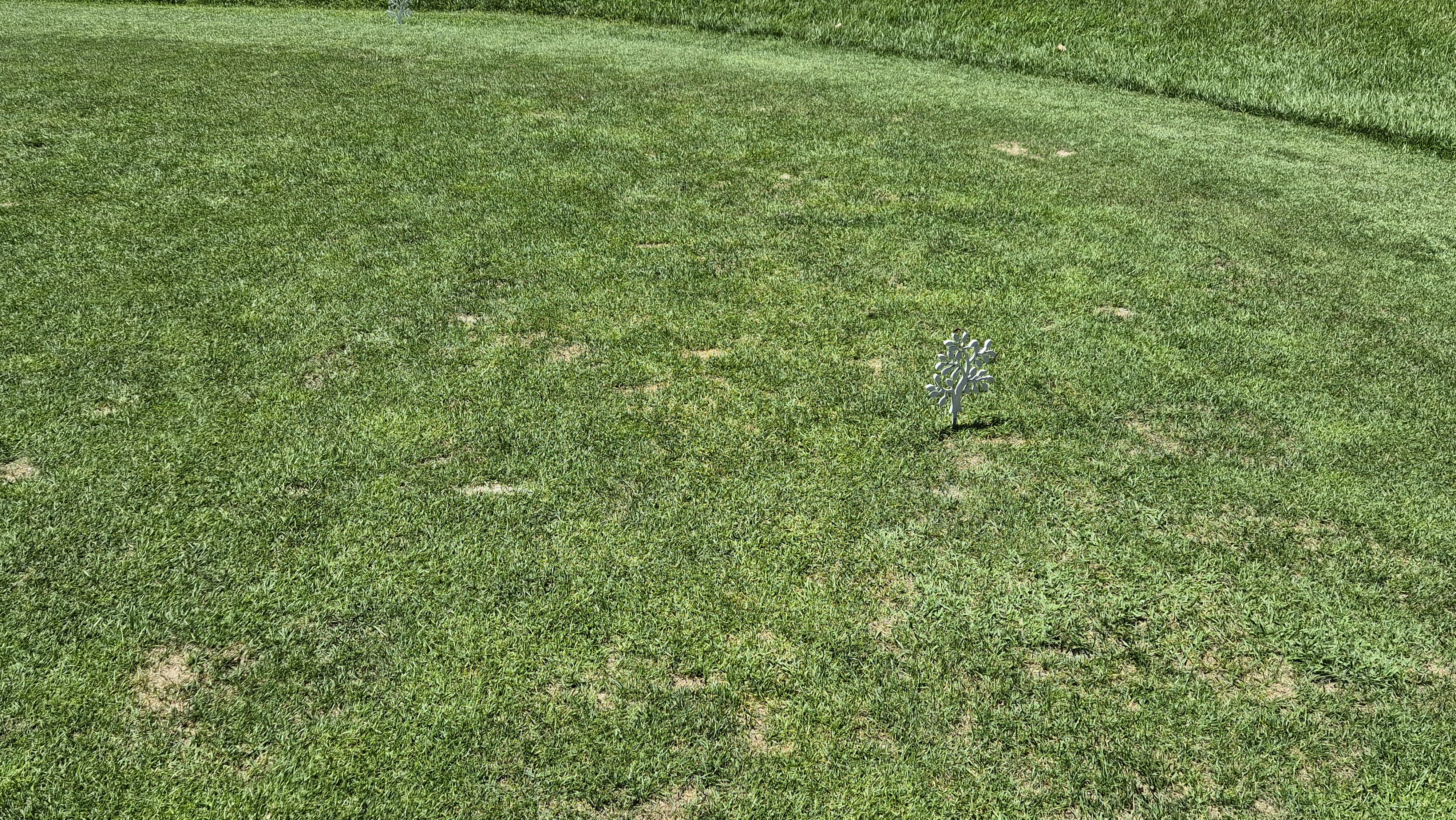 SG 아름다운cc 라운드 후기