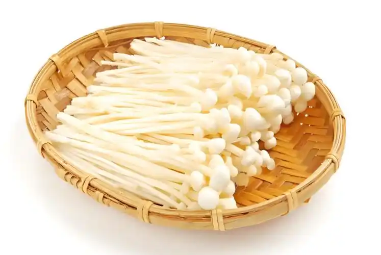 팽이버섯 효능