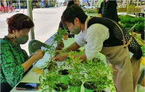 전라남도 정원페스티벌