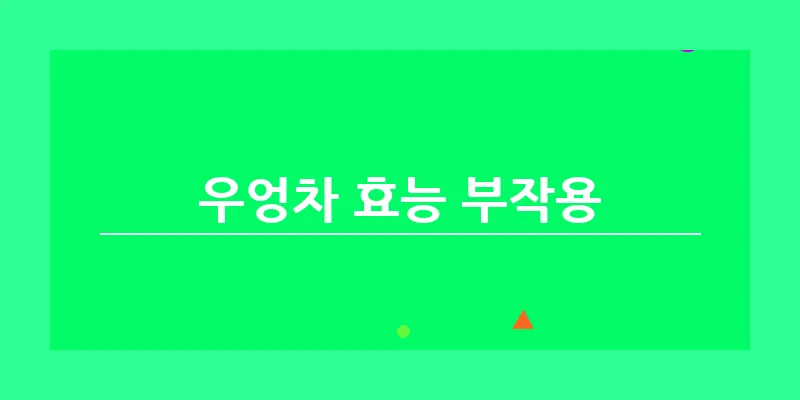 bn_우엉차 효능 부작용_8