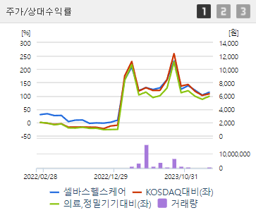 셀바스헬스케어 주식정보