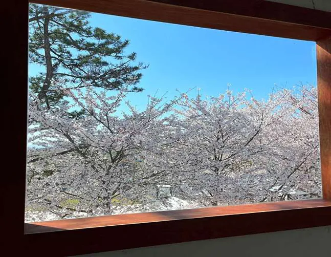 장년길40