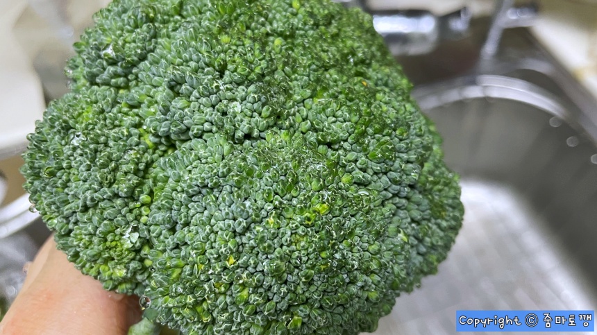 브로콜리-기름막