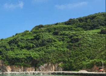 거문도_백도_가는_방법