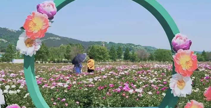 합천 생태공원2