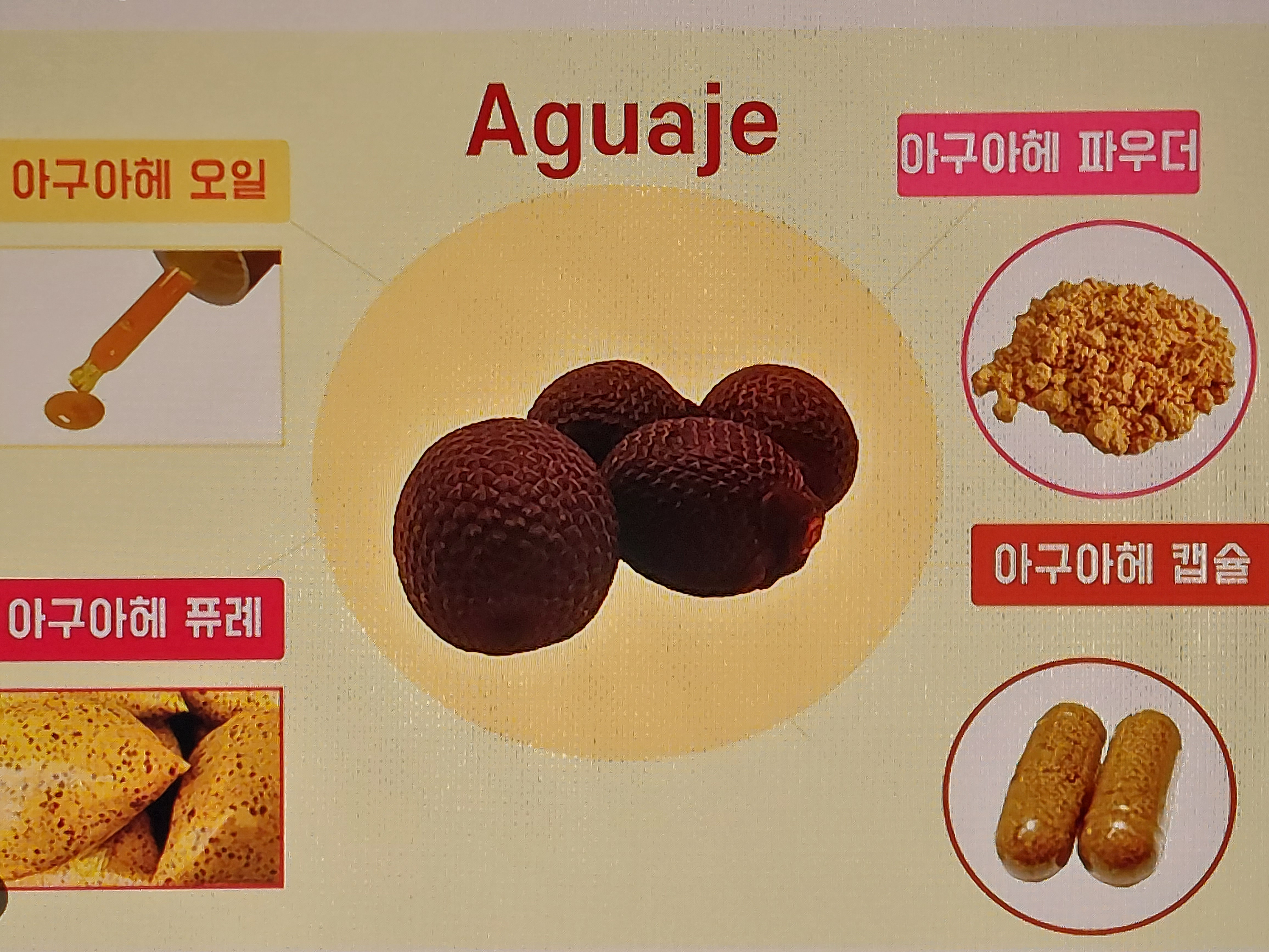 아구아헤 효능
