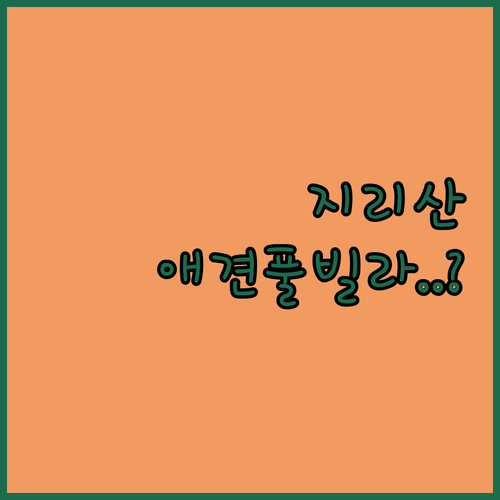지리산 섬진강 근처 숙소 분석 반려동..
