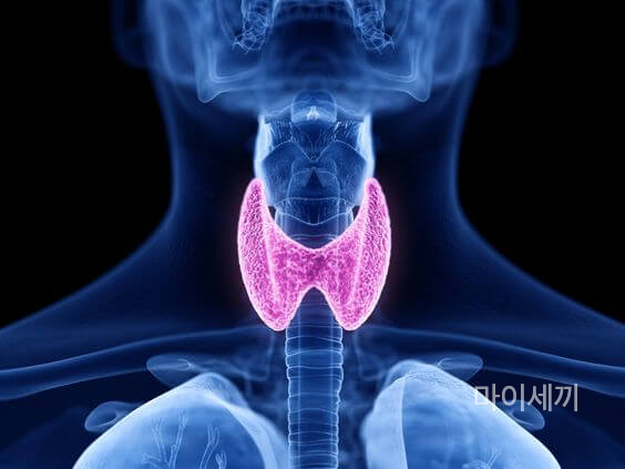 목의 지속적인 통증
