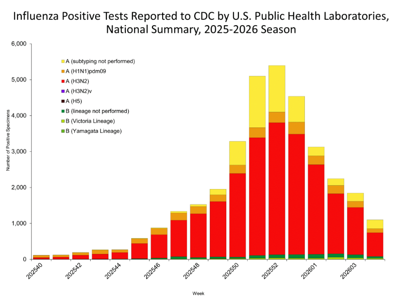 B형 인플루엔자 유행 지속 증가 추세 관련 이미지