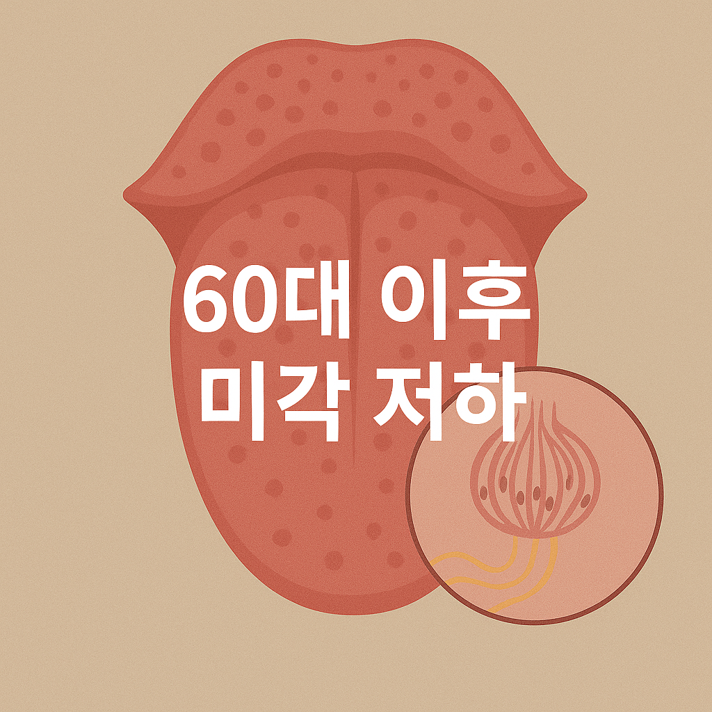 맛이 사라진 것 같다면 60대 이후 미각 저하의 진짜 원인👅